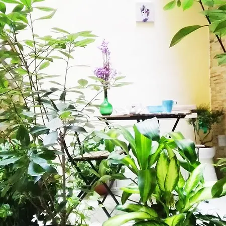 Bed & Breakfast Duomo Station 3*